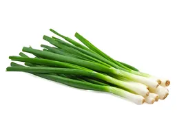 בצל ירוק יח'
