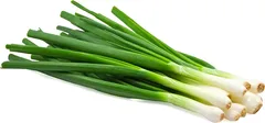 בצל ירוק יח'