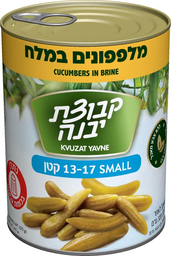 מלפפון 13-17 מלח 540 גרם