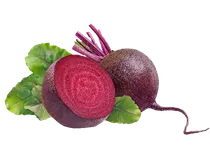 סלק