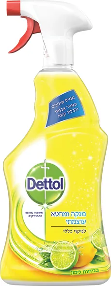 דטול מנקה ומחטא לניקוי כללי 750 מ"ל