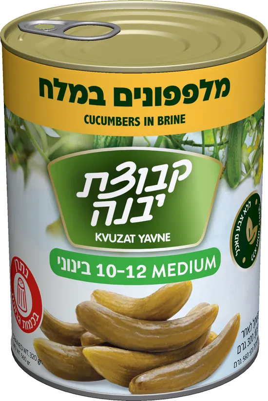 מלפפון 10-12 מלח 540 גרם