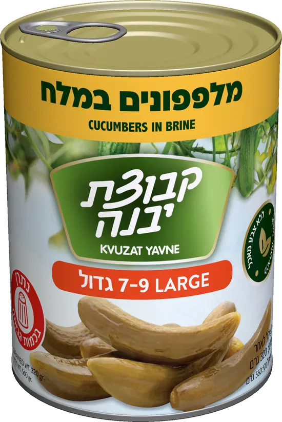 מלפפון במלח 7-9 540 גרם