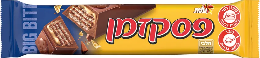 פסק זמן ביג בייט