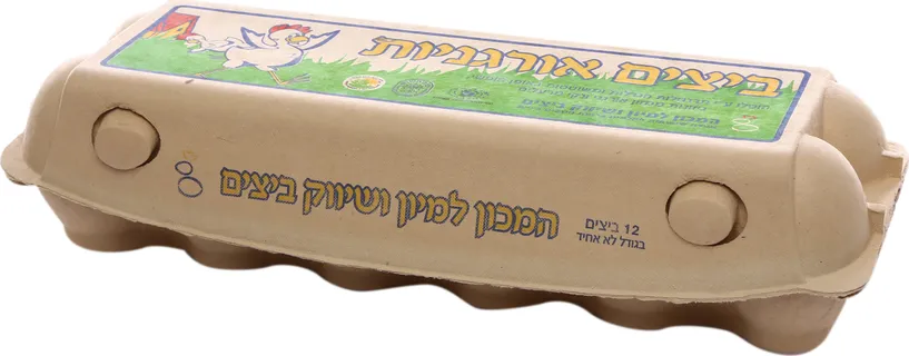 ביצים אורגניות 12 יחידות