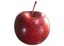 תפוח עץ אמפייר