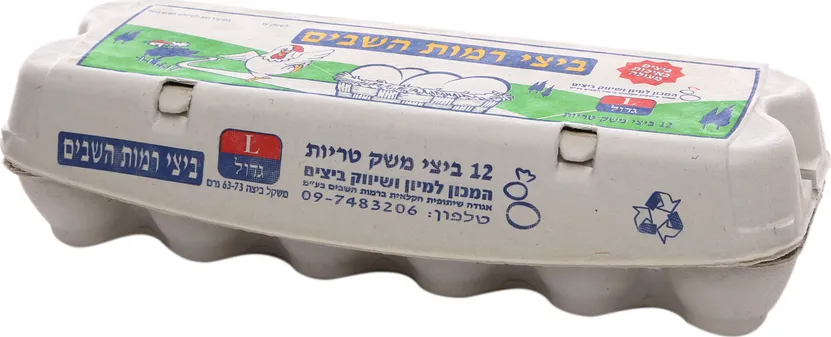 ביצים גדול L 12 - מחיר בפיקוח ממשלתי