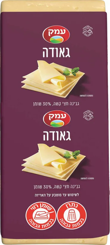 גבינה חצי קשה גאודה 30%
